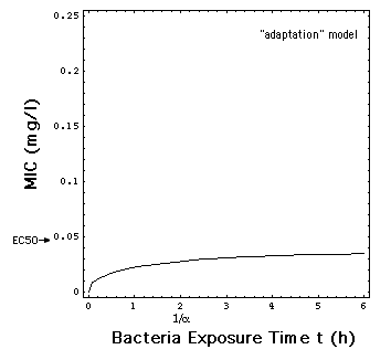 adaptation model MIC as a funtion of t